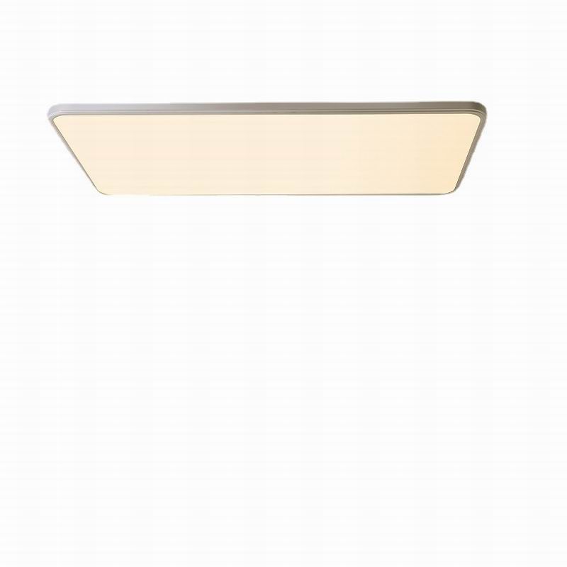 Ceiling light